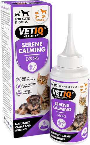 Serene calming cat kitten - serene,