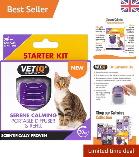 Serene calming cat kitten - serene, &