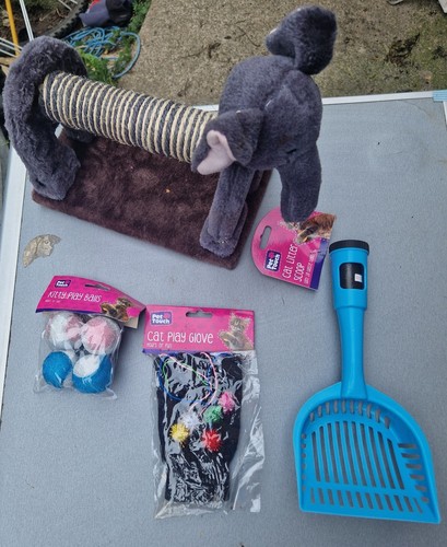 Kitten cat starter pack - cat,