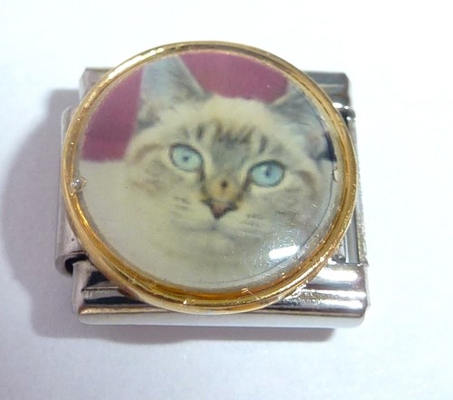 Grey cat italian charm - italian,