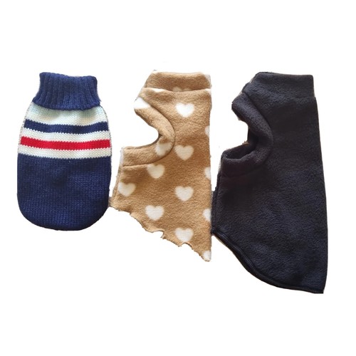 Kitten starter set - starter, of