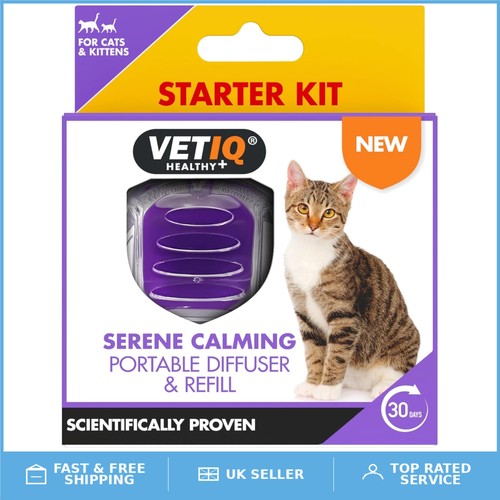 Portable cat kitten - kitten, calming