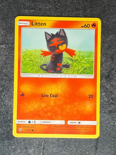 Litten common shining - 15/73,